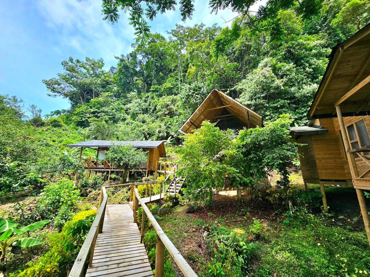 Hotel Piedra Piedra Lodge Nuquí Dış mekan fotoğraf